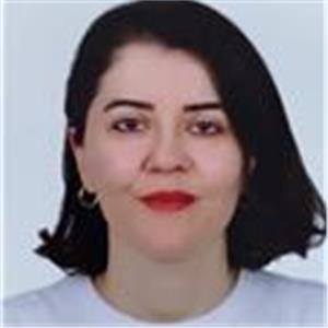 Elif Yalçin Bilgili