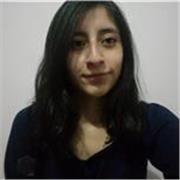 Docente de Enseñanza Básica Profesor/a sin experiencia