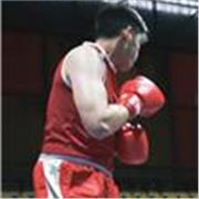 Boxeo personalizado: desde básico, intermedio y avanzado. (Incluye manopleo y popotes)