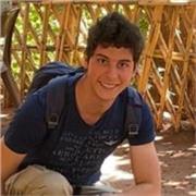 Studente laureato in ingegneria presso il Politecnico di Milano offre ripetizioni di matematica e fisica per medie e superiori
