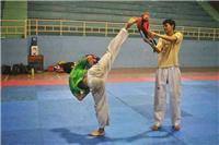 Instructor de artes marciales