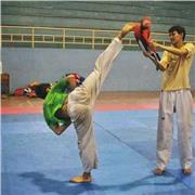 Instructor de artes marciales