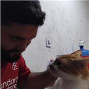 Ensino Matemática Nível Fundamental - I