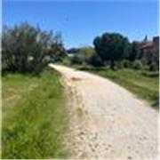 Soy español llevo más de 15 años viviendo en España y tengo buen nivel de inglés así que puedo ayudarles a comunicarse mejor