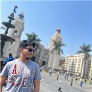 Profesor de programación con 3 años de experiencia