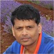 Maths tutor for primary and middle school students