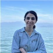 Computer engineer tutor with 5 years' experience offering private programming lessons for children and adults