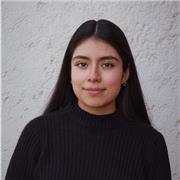 Professeur d'espagnol - cours en ligne ou à domicile