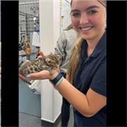 Happy to help tutor primary school, GCSE: English, Maths, Business, Sciences and anyone needing a mentor for Vet Med Applications