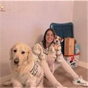 Profesora de primaria apta para todas las materias y niveles.