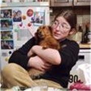 Cours particulier d'anglais : tous types de niveaux