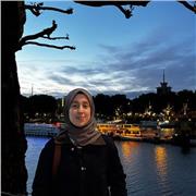 Individueller Online Englischunterricht für Anfänger und Fortgeschrittene jeden Alters