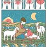 Profesor de español. Profesor de literatura argentina y latinoamericana