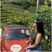 Learn Italian with a PhD tutor - Language and Culture Expert