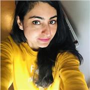 I am offering English, Geography, History and Politics lessons to all level of students