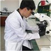 Profesor especializado en el área de la Biología y Química, con ingles avanzado, de manera presencial o virtual