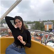 todos los niveles ,mi árabe y francés es nativo