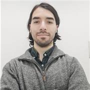 Profesor de historia enseñanza básica, media y universitaria