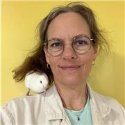 Parler français pour mieux vivre en France !
Cours sur-mesure pour tous publics
Culture – Conversation – Vie pratique