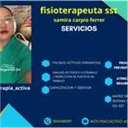 profesor en sst informes, apto y ipt, riesgos fisicos, sve