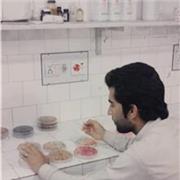 Zabihullah Zadran