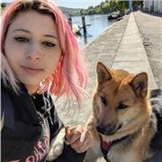 Italienisch für Anfänger für jedes alter, jeder kann lernen!