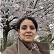 Arabic Teacher for students all ages, also a translator. Help students of different ages and levels to learn Arabic. Exams preps