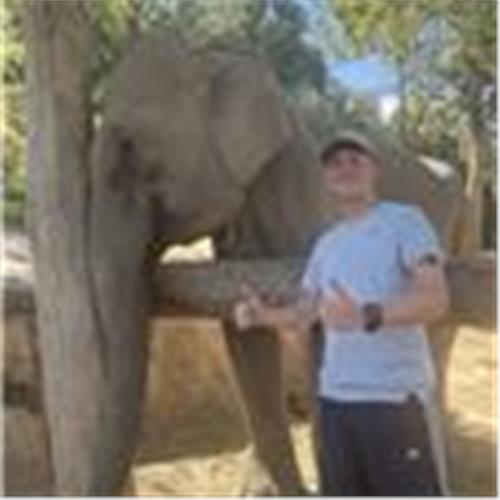 user photo
