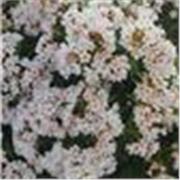 Estudiante de Ingeniería civil de tercer curso. Imparto clases a estudiantes de primaria y ESO.