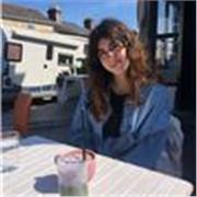 Experienced Physics tutor for GCSE students
