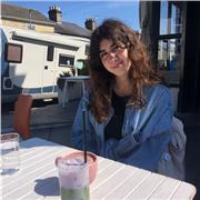 Experienced Physics tutor for GCSE students