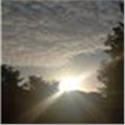 Prof à domicile qui peut donner des cours de vocabulaire, de grammaire, etc...