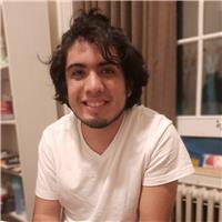 Ingeniero químico, con experiencia en docencia universitaria y preuniversitaria ofrece clases online