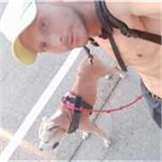 Senderismo profesional y didáctica de história, actividades, monumentos, lugares patrimonio de la Generalitat, etc