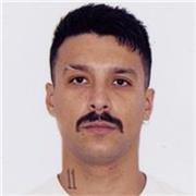 Aulas de História para compreender o presente