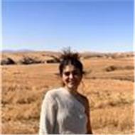 Ayse