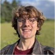 Insegnante di solfeggio, basi di armonia e canto