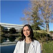 De francophone à hispanophone – Apprenez l’espagnol pas à pas!