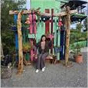 Profesora de Arte y Cultura en Perú, trabajé con niños de inicial hasta secundaria y universidad. Soy paciente, puntual y responsa