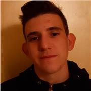 Studente di terza liceo scientifico, offro ripetizioni per ragazzi di 1ª,2ª e terza media