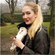 Wildlife conservationist with a varied background in practical wildlife conservation as well as education to a range of ages.