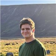 Computer science / Computer programming tutor