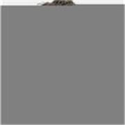 Studentessa di Giurisprudenza trilingue per lezioni di lingue e supporto scolastico