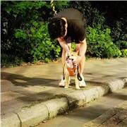 A level& GCSE biology private Tuition