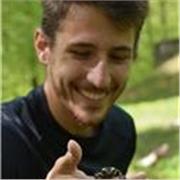 Se cerchi una prospettiva interessante per lo studio di biologia ed evoluzione, hai trovato la persona giusta! Dimmi di cosa hai bisogno di imparare, e cominciamo.
