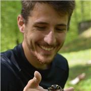 Se cerchi una prospettiva interessante per lo studio di biologia ed evoluzione, hai trovato la persona giusta! Dimmi di cosa hai bisogno di imparare, e cominciamo.