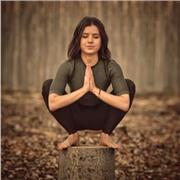 Soy profesora de yoga: 200hrs Hatha vinyasa y practicante durante más de 6 años. En mi día a día practico Ashtanga y me gusta enseñar con clases dinámicas y un poco retadoras :)