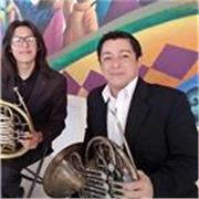Maestro/a de educación e iniciación Musical
