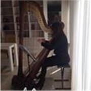 Insegnate di arpa a Brescia per bambini alle prime armi ad adulti che vogliono dilettarsi in questo strumento