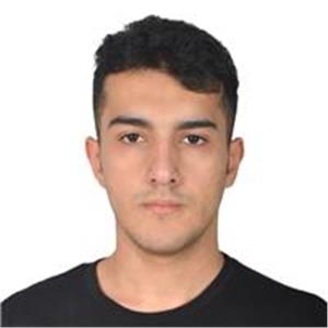 Ahmet Hakan Alimci